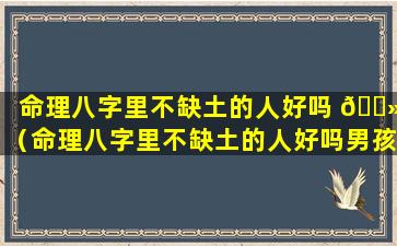 命理八字里不缺土的人好吗 🌻 （命理八字里不缺土的人好吗男孩）